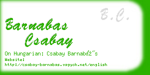 barnabas csabay business card